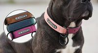 Pawvi™ Genuine Leather Adjustable Dog Collar
