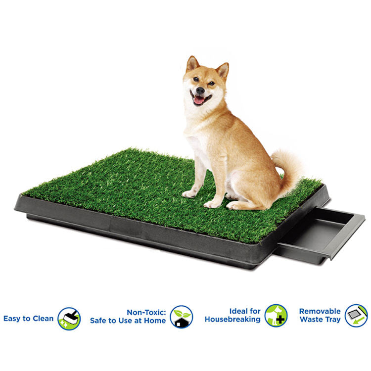 Premium Puppy Potty Tray™