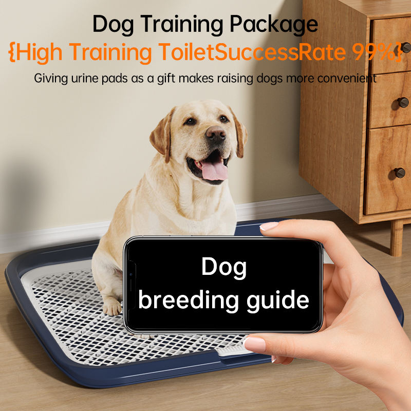 Pawvi™ Premium Potty Pet Trainer